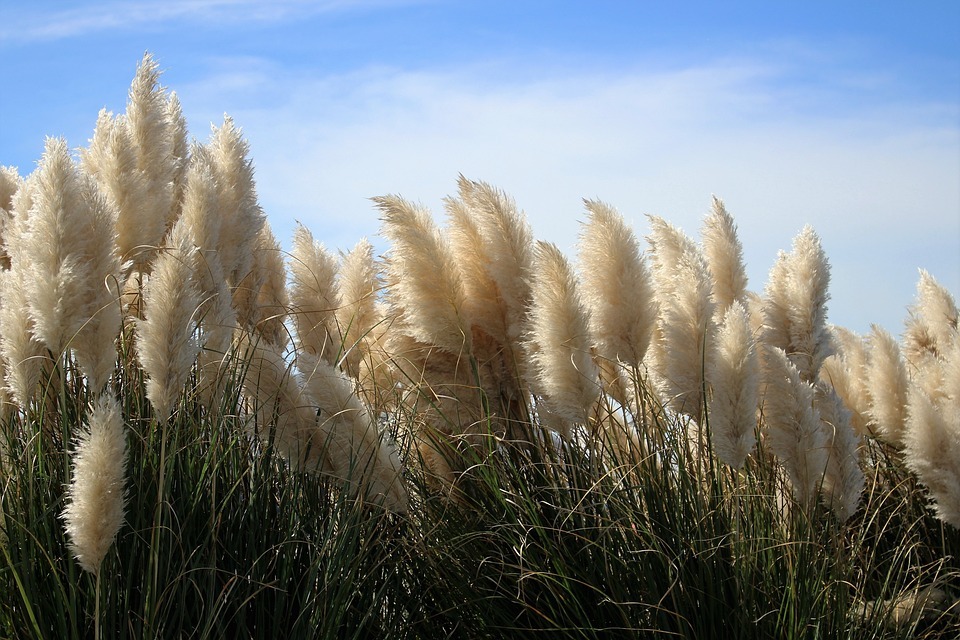 hatteras-2371605_960_720